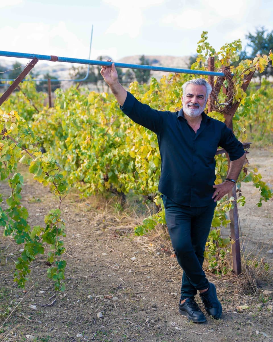 The grower at his vine rows in a vineyard outside Heraklion